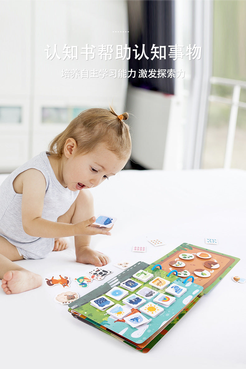 2f3965d5-50b6-4016-a351-ca3e28205149